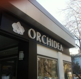 463406369_2940339349448316_2357190231432513788_n