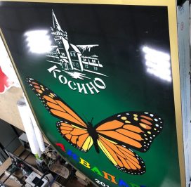 67533680_1353371101478490_8896224884724596736_n