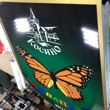 67533680_1353371101478490_8896224884724596736_n